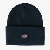 Tall Cuff Beanie