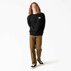Dickies Skateboarding Pool Drainage Graphic Sweatshirt