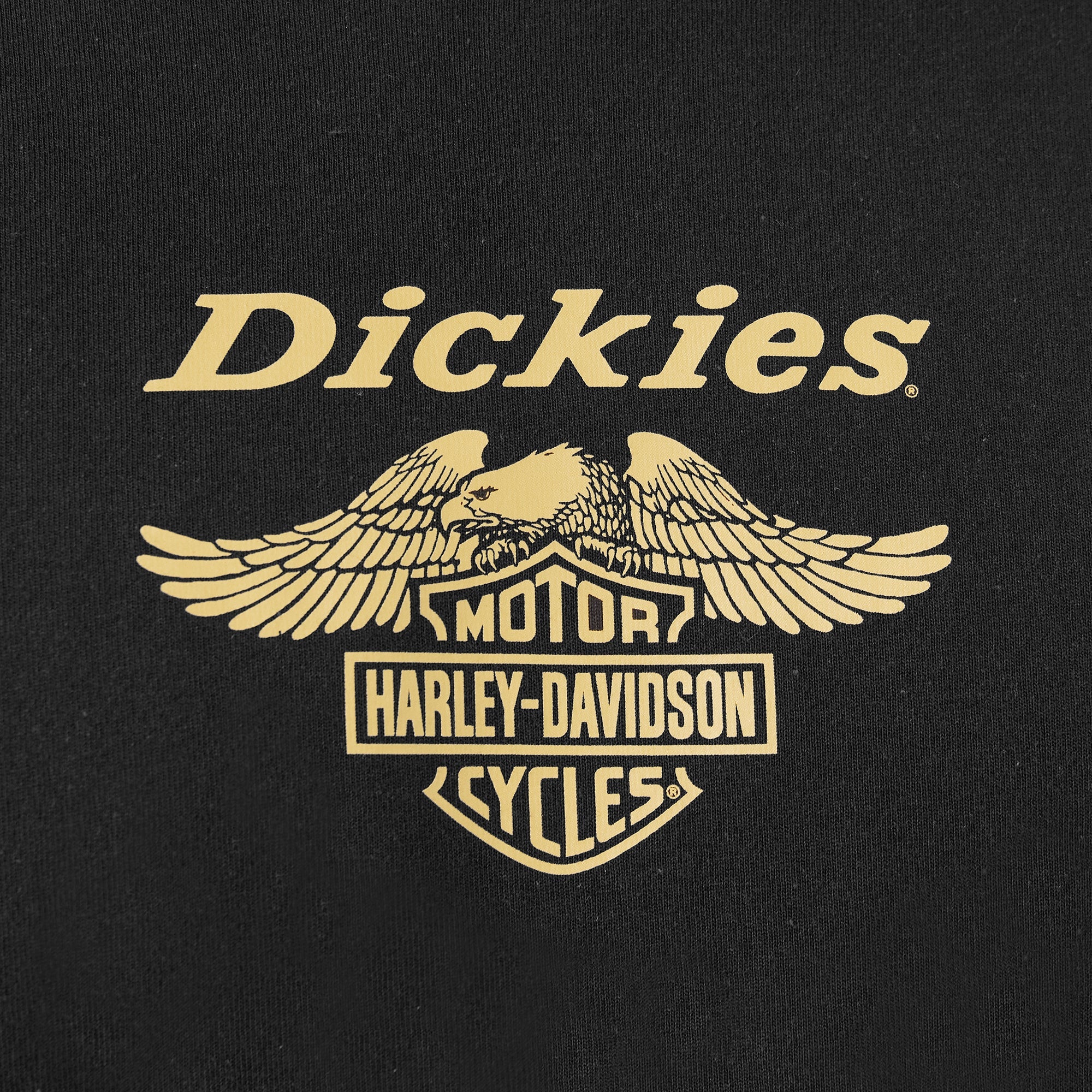 Dickies x Harley-Davidson Heavyweight Long Sleeve Eagle Tee