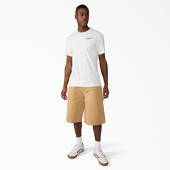 Americana Logo Fill Graphic T-Shirt