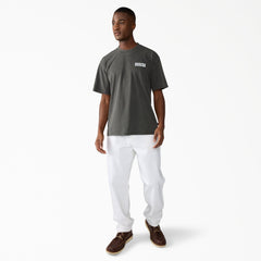 Wellsville Baggy Tapered Twill Pant